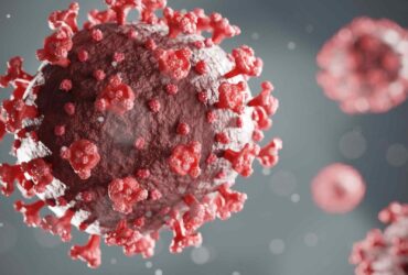 Ivermectin versus Iodine for the Covid pandemic
